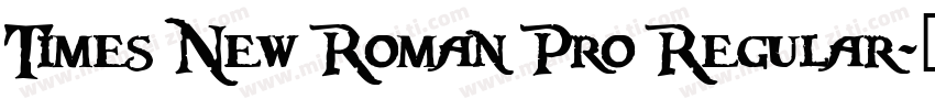 Times New Roman Pro Regular字体转换